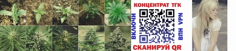 ТГК Wax Кулебаки