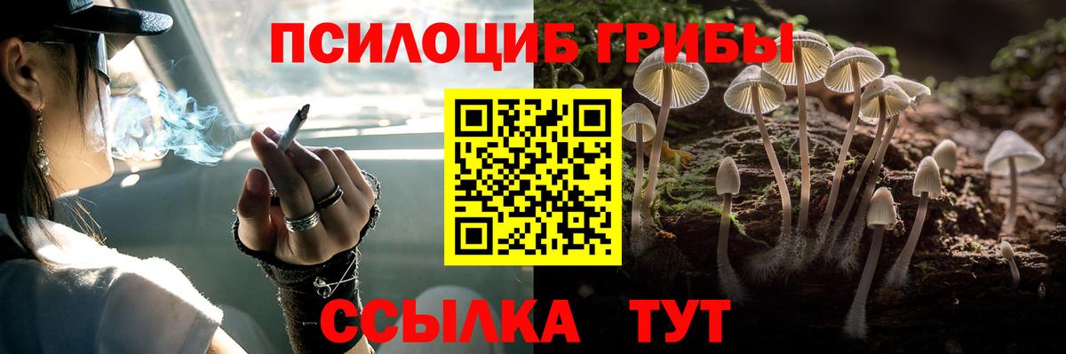 Кулебаки  Галлюциногенные грибы мицелий  Вход с VPN 